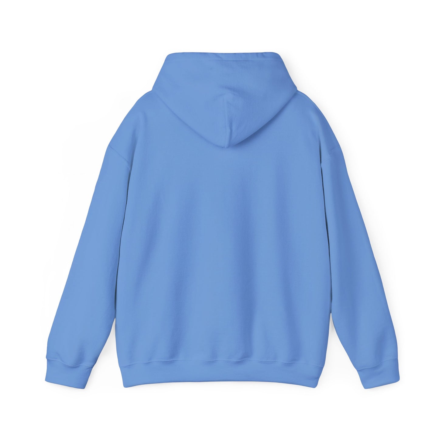 OWLS pennant Hooded Sweatshirt