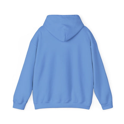 OWLS pennant Hooded Sweatshirt