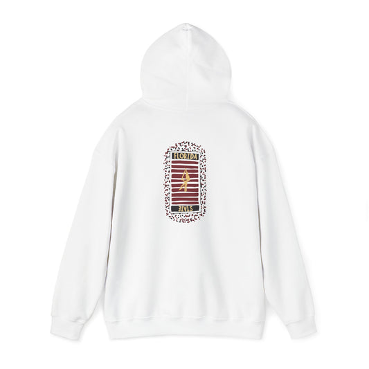 NOLES field Hooded Sweatshirt