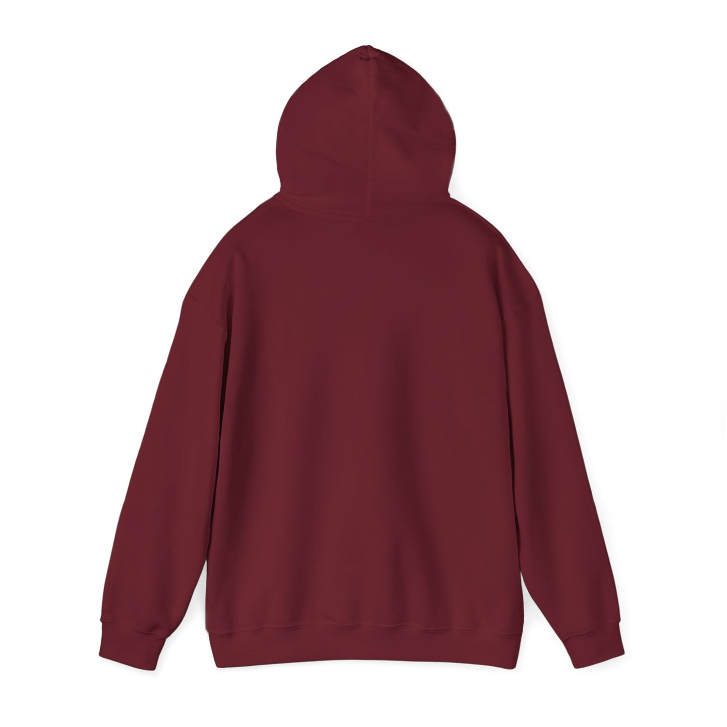 Noles pennant Hooded Sweatshirt