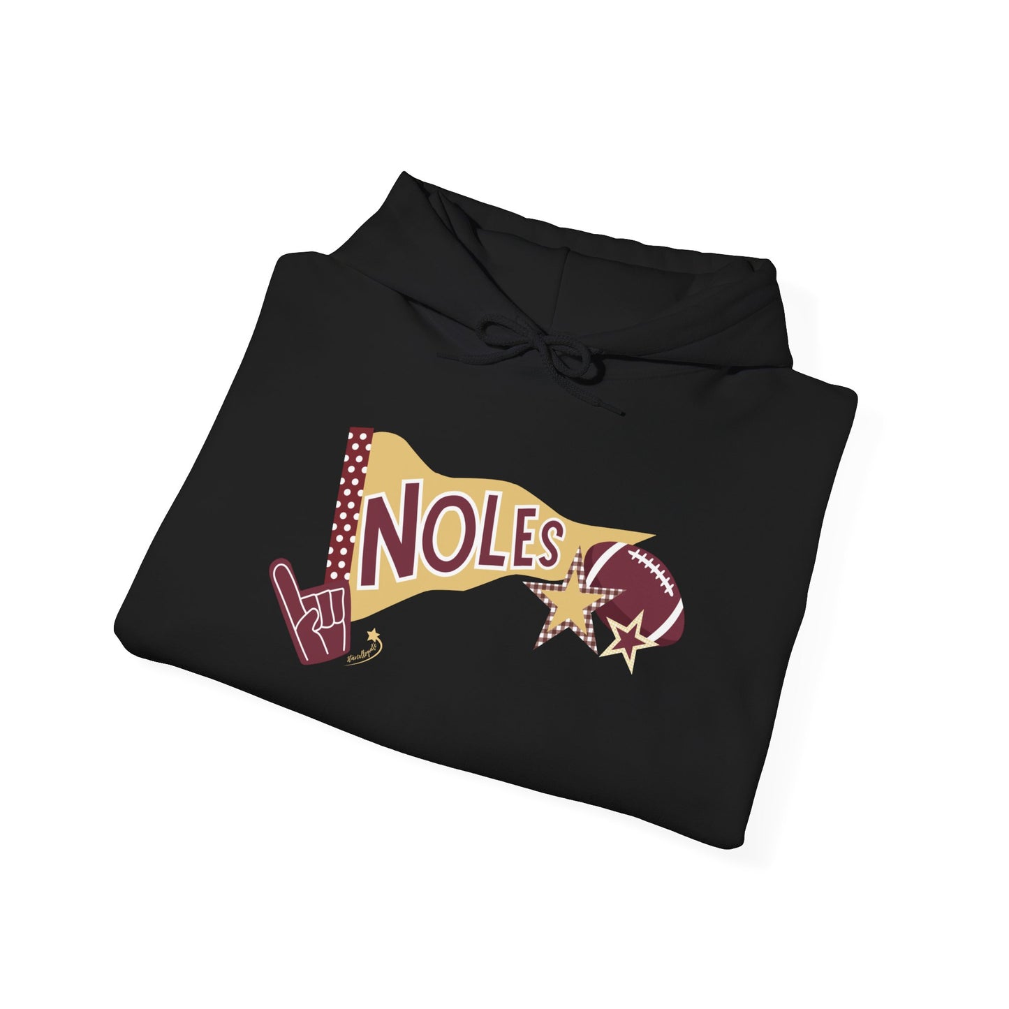 Noles pennant Hooded Sweatshirt