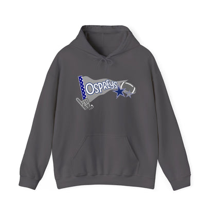 OSPREYS pennant Hooded Sweatshirt