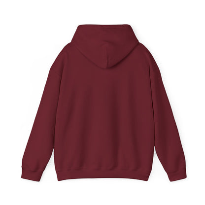 Noles pennant Hooded Sweatshirt