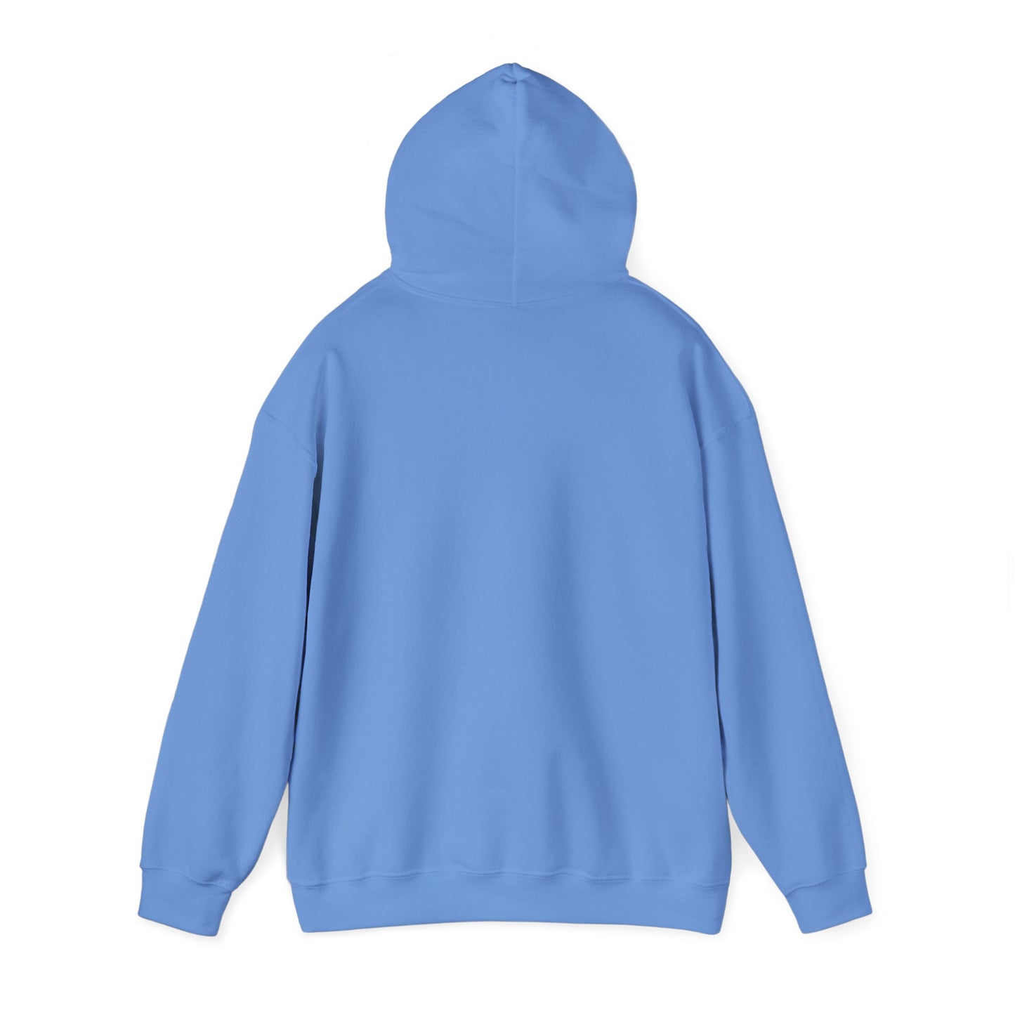 OWLS pennant Hooded Sweatshirt