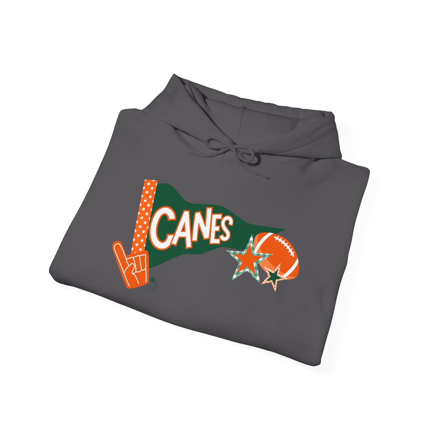 CANES pennant Hooded Sweatshirt