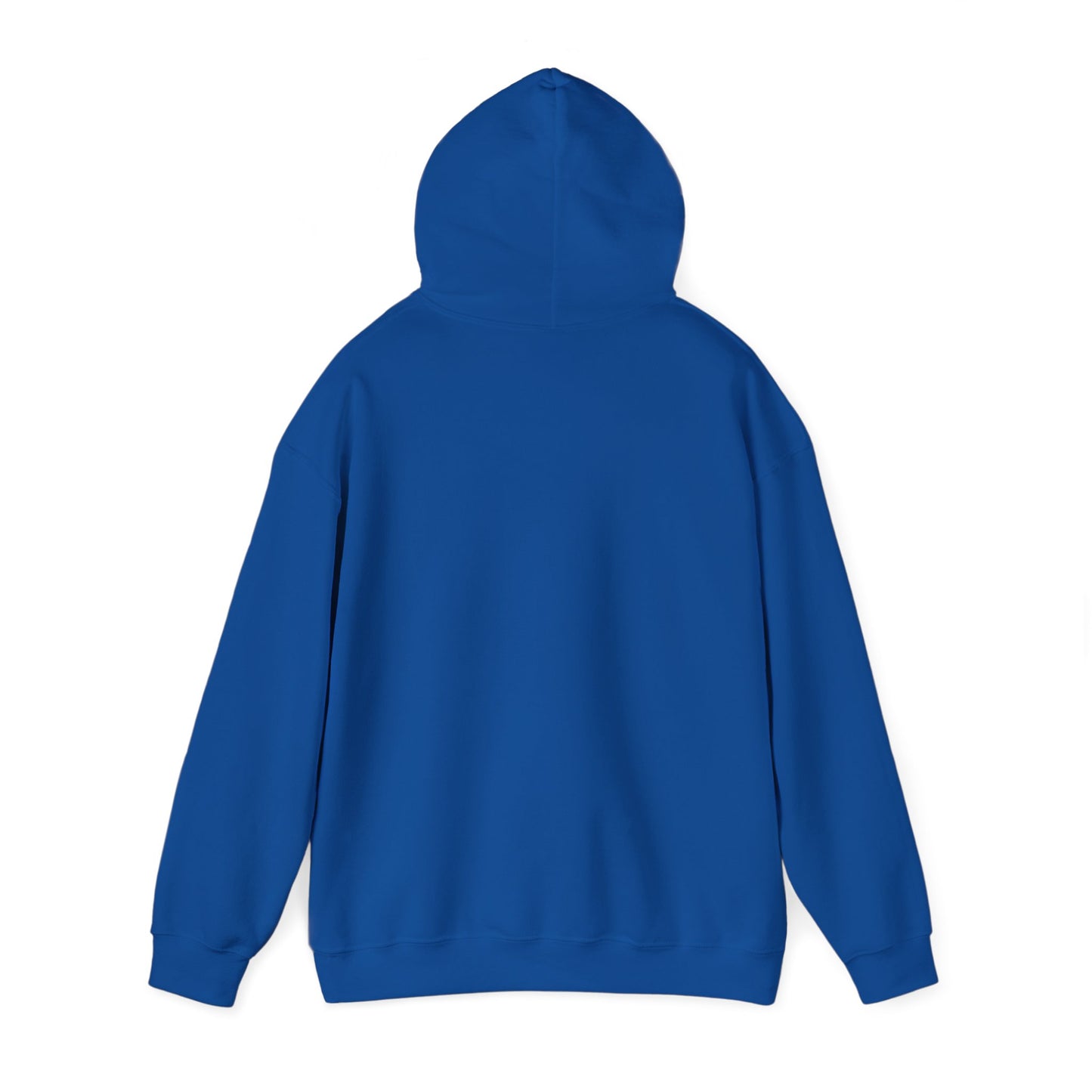 OWLS pennant Hooded Sweatshirt