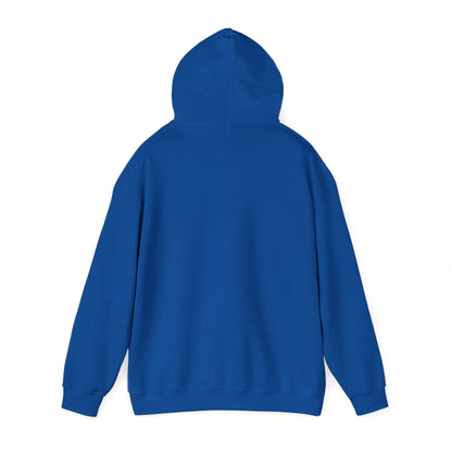 OWLS pennant Hooded Sweatshirt