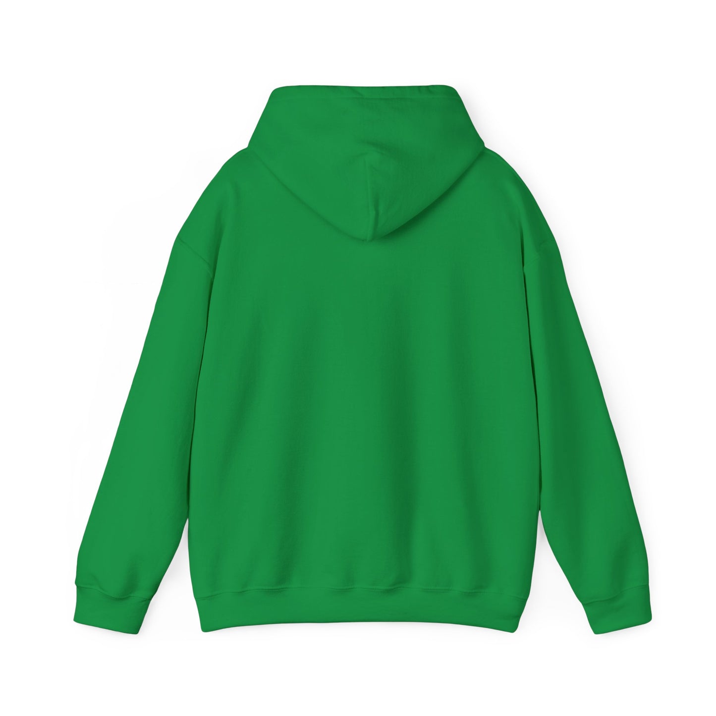 CANES pennant Hooded Sweatshirt