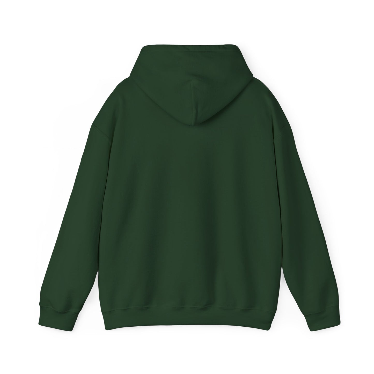 CANES pennant Hooded Sweatshirt