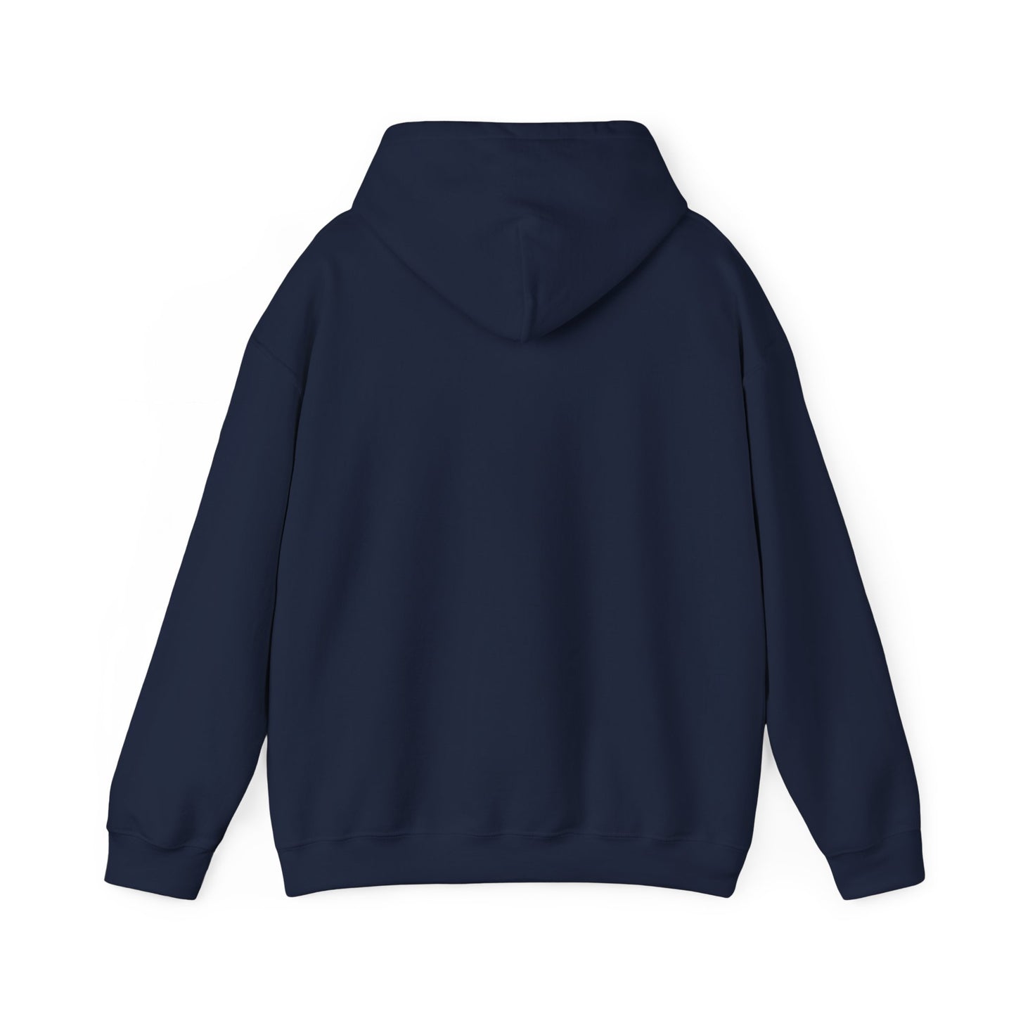 TIGERS AU pennant Hooded Sweatshirt