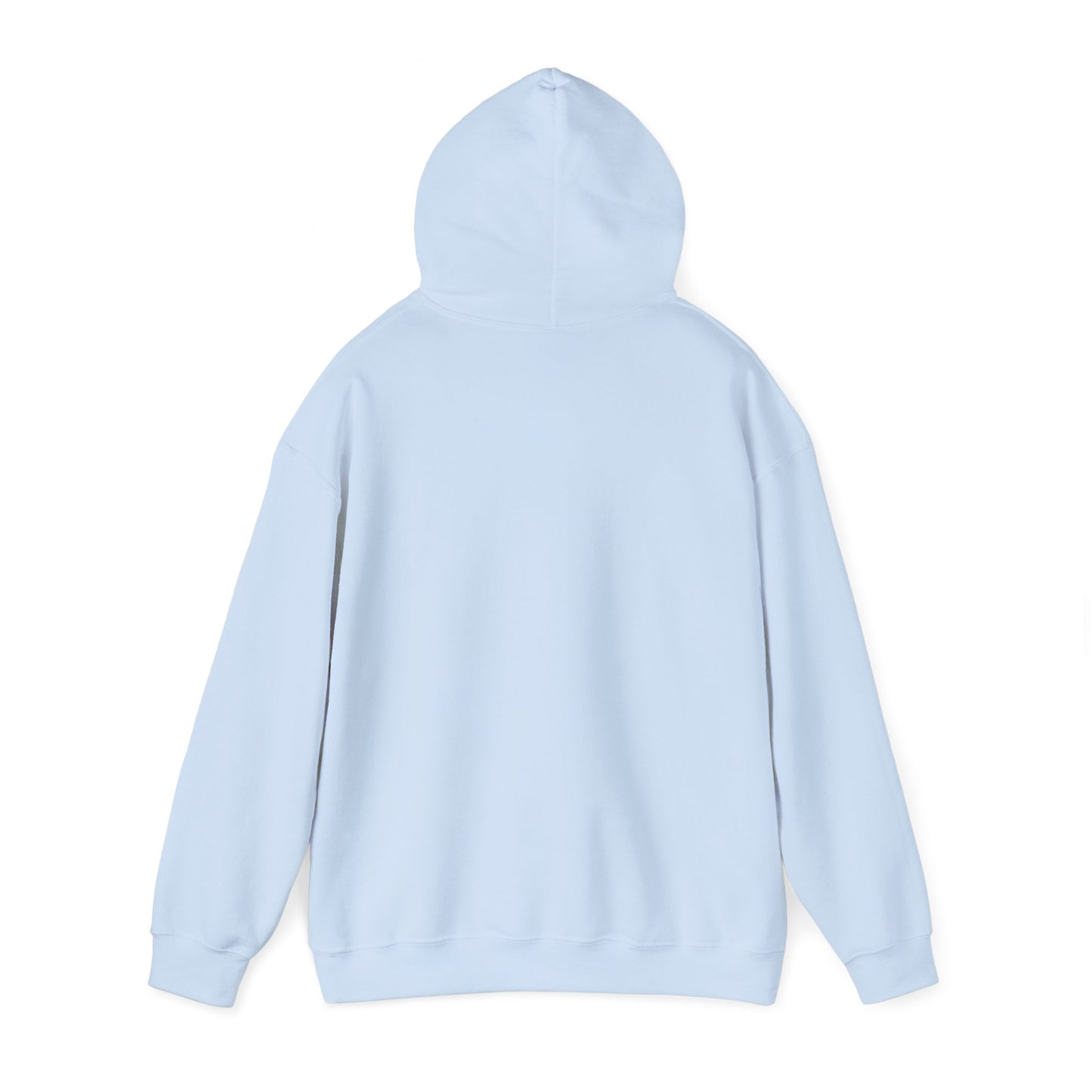 OWLS pennant Hooded Sweatshirt