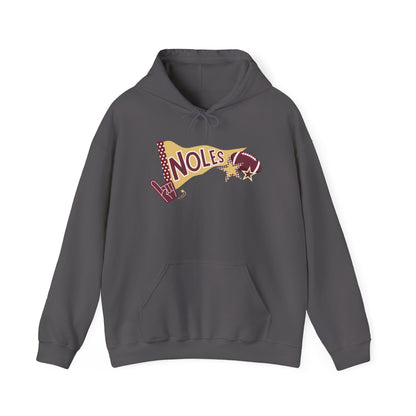 Noles pennant Hooded Sweatshirt