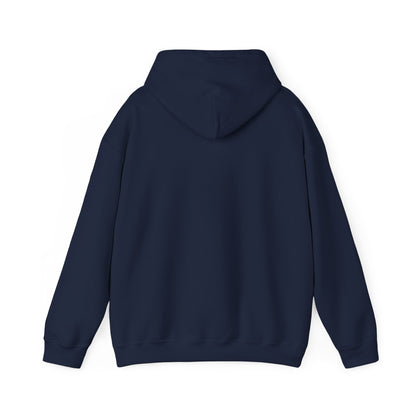 OWLS pennant Hooded Sweatshirt