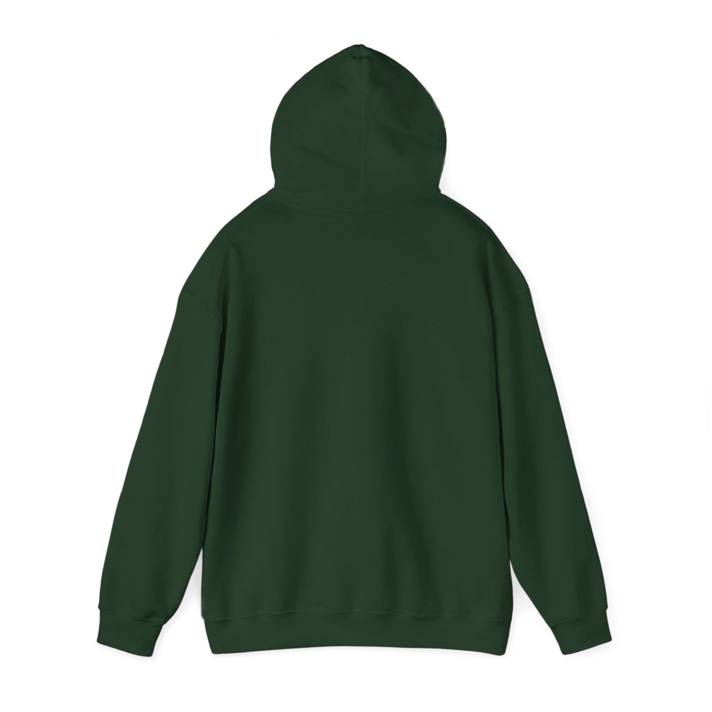 CANES pennant Hooded Sweatshirt