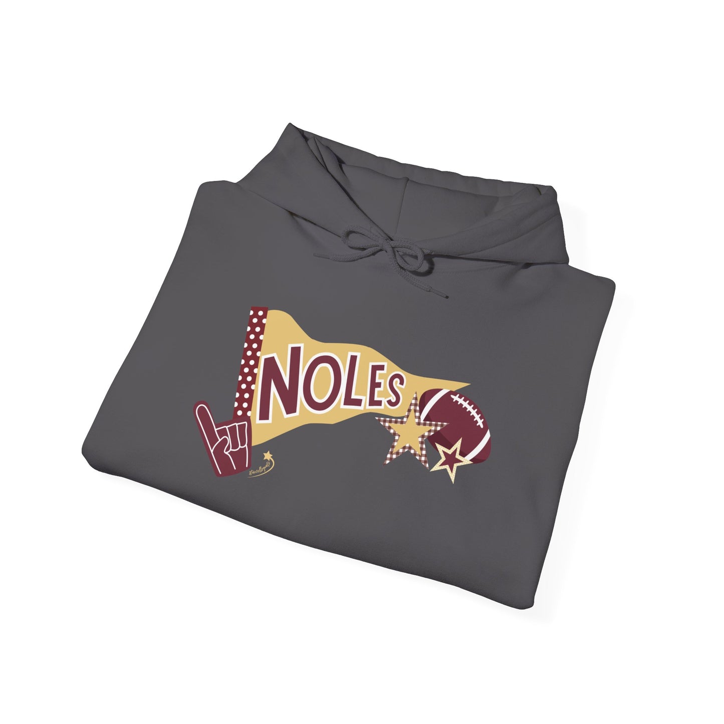 Noles pennant Hooded Sweatshirt